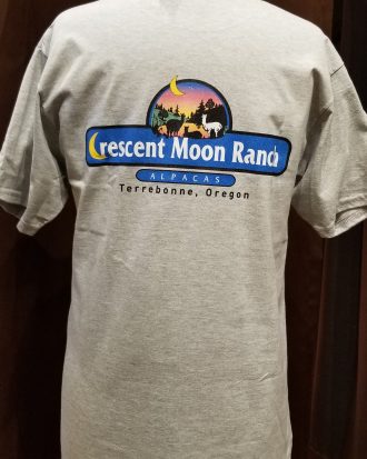 Logo T-shirt - Adult